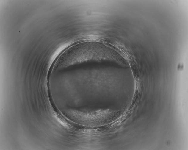 X0000094190147200711021036