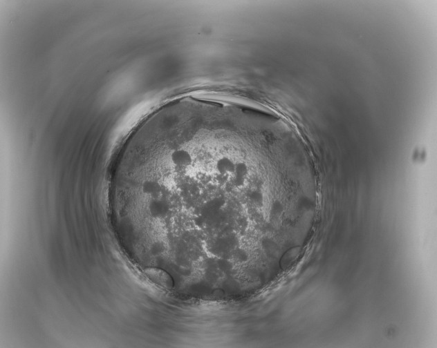 X0000094190149200711021036