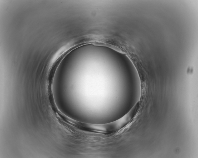 X0000094190150200711021036