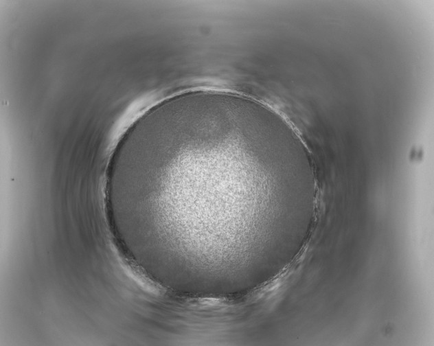 X0000094190151200711021036