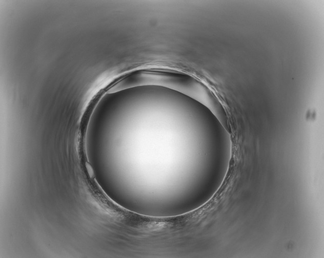 X0000094190152200711021036