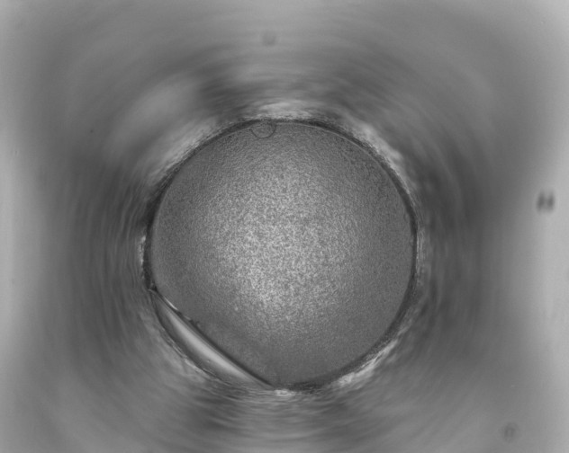 X0000094190153200711021036