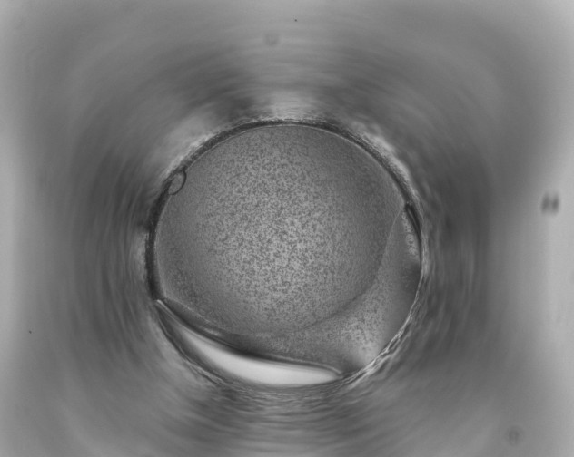 X0000094190154200711021036