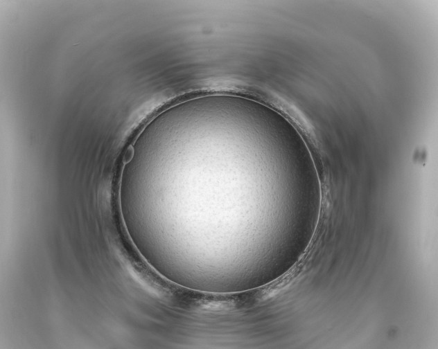 X0000094190155200711021036