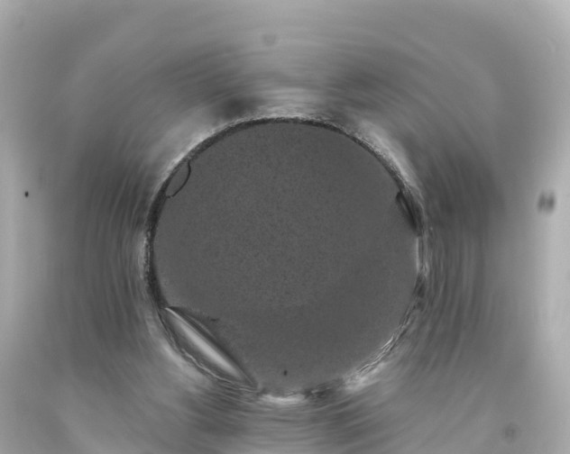 X0000094190156200711021036