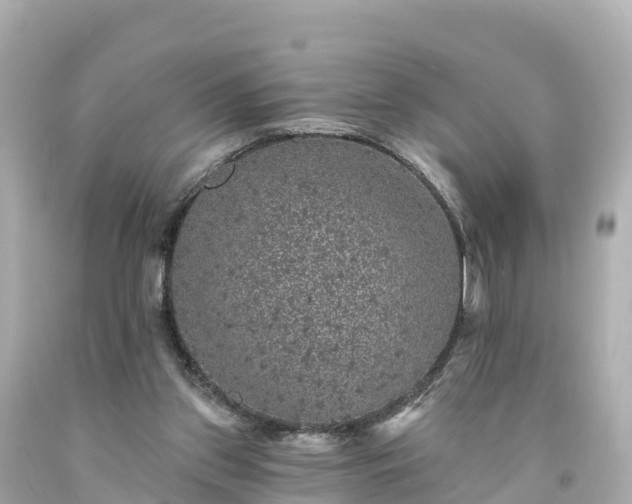 X0000094190157200711021036