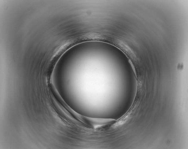 X0000094190158200711021036