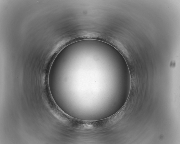 X0000094190159200711021036