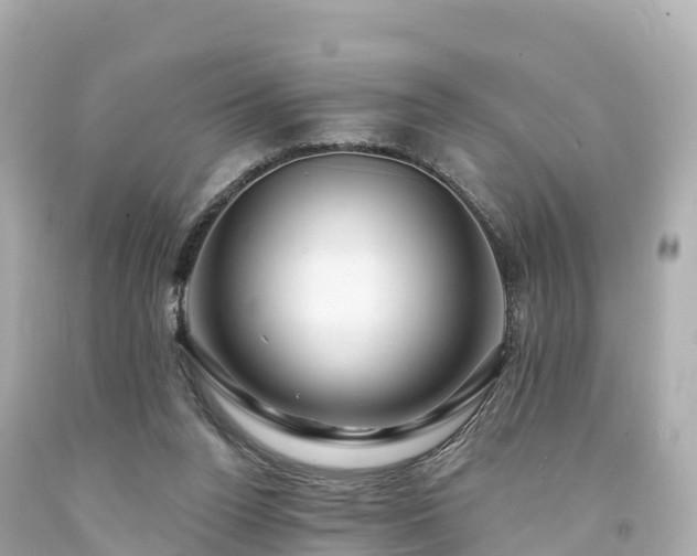 X0000094190160200711021036