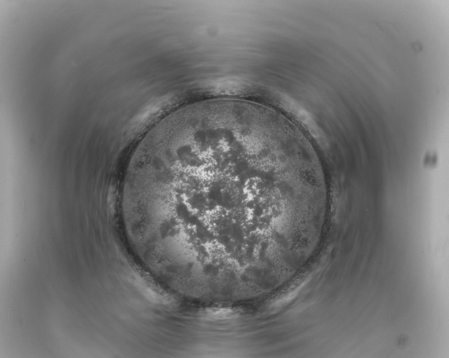 X0000094190161200711021036