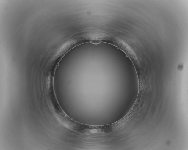 X0000094190163200711021036