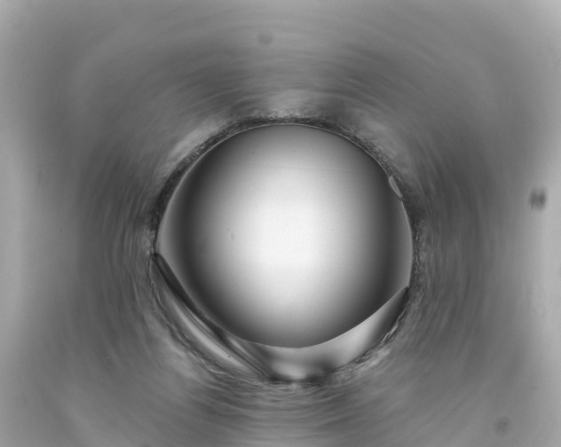 X0000094190164200711021036