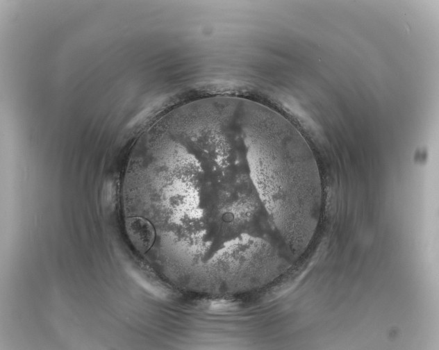 X0000094190165200711021036