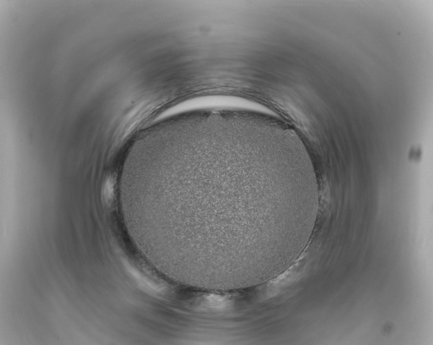 X0000094190166200711021036