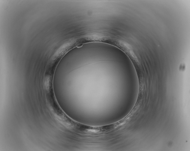 X0000094190167200711021036