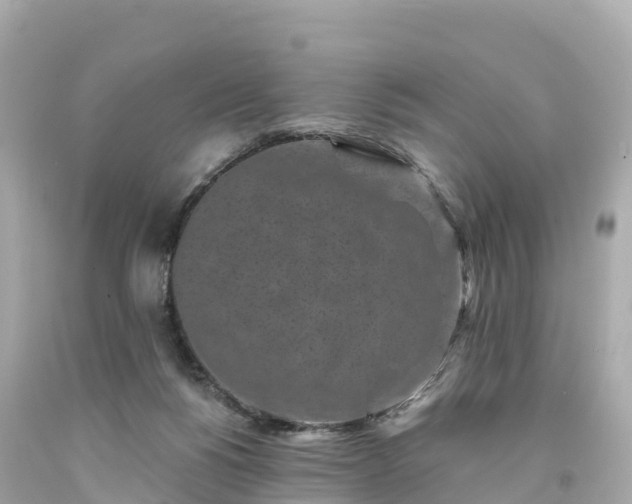 X0000094190168200711021036