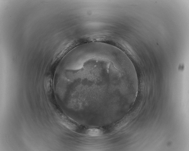 X0000094190169200711021037