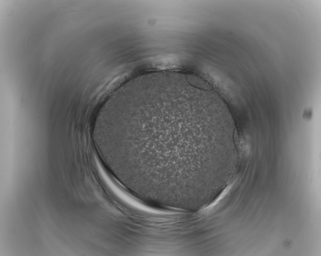 X0000094190170200711021037