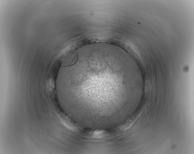 X0000094190173200711021037