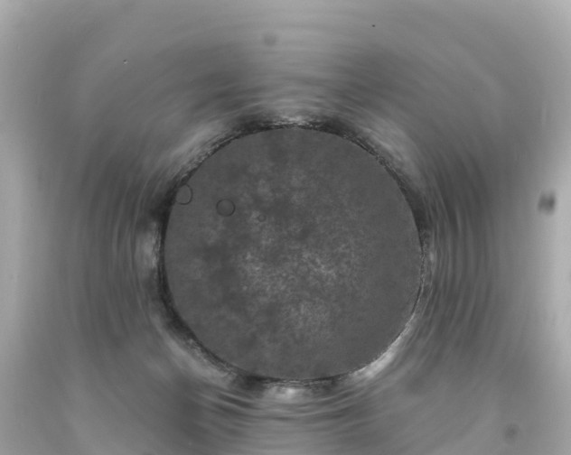 X0000094190174200711021037