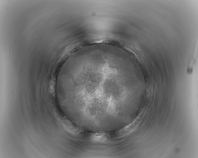 X0000094190175200711021037