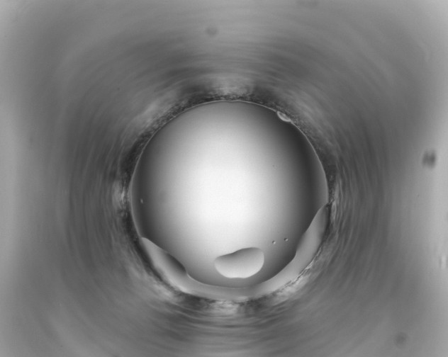 X0000094190176200711021037