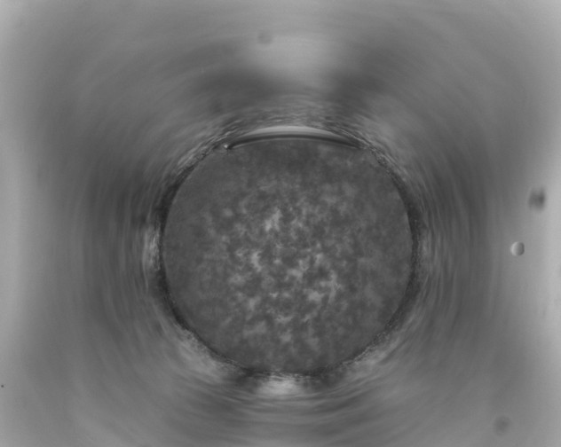 X0000094190177200711021037