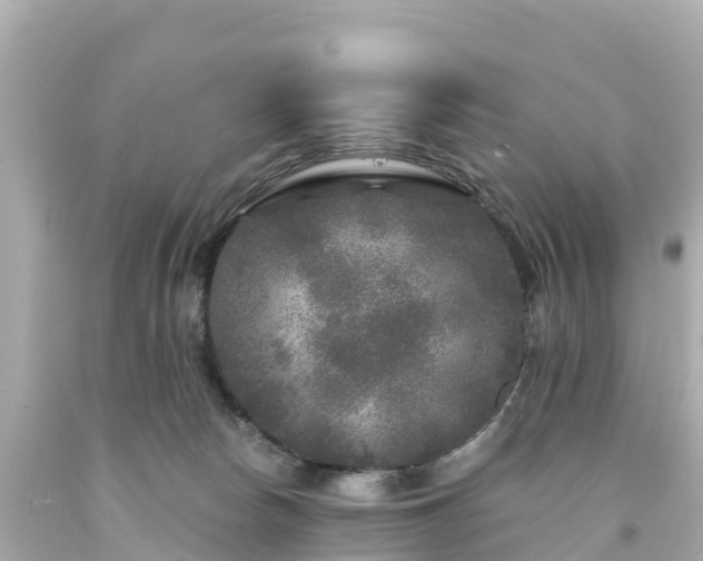 X0000094190178200711021037