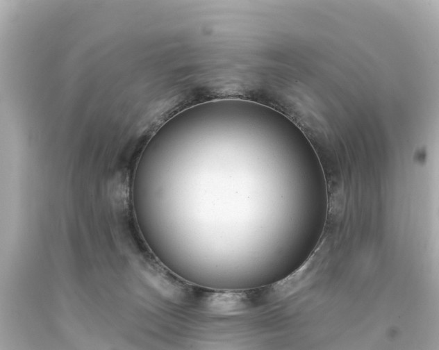 X0000094190179200711021037