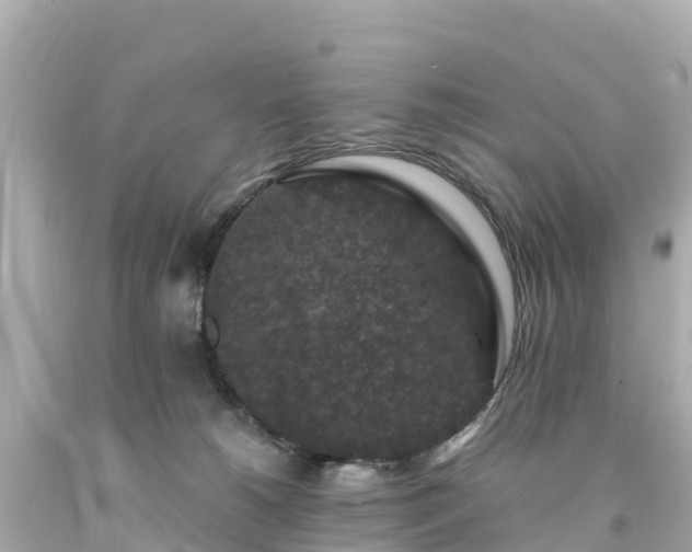 X0000094190180200711021037