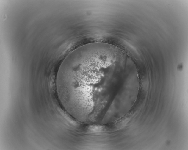 X0000094190181200711021037