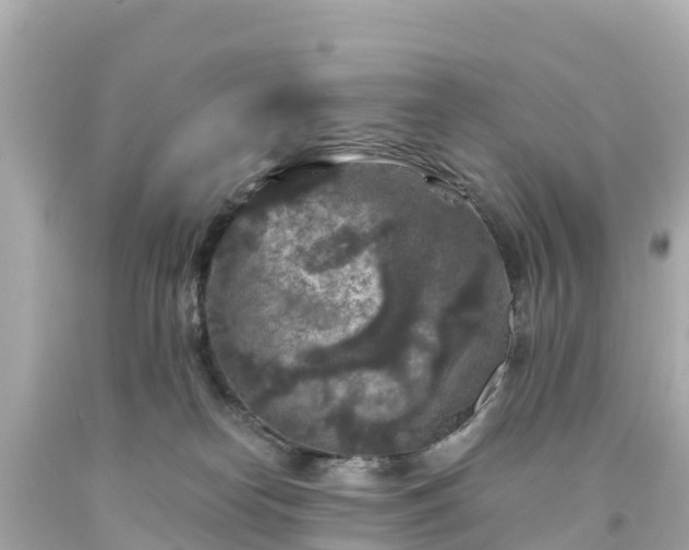 X0000094190182200711021037