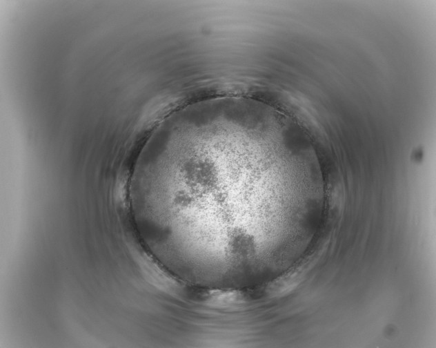 X0000094190185200711021037