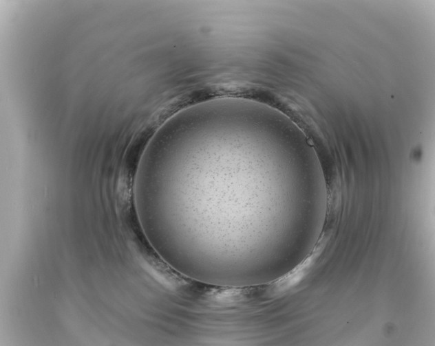 X0000094190186200711021037