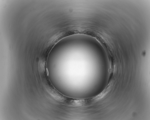 X0000094190188200711021037