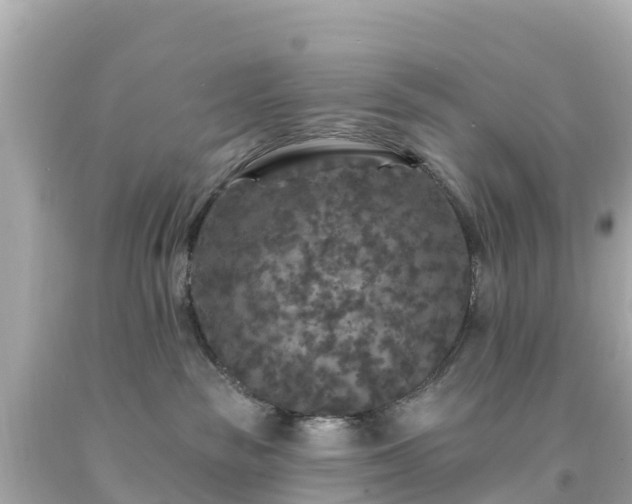 X0000094190189200711021037