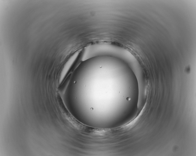 X0000094190190200711021037