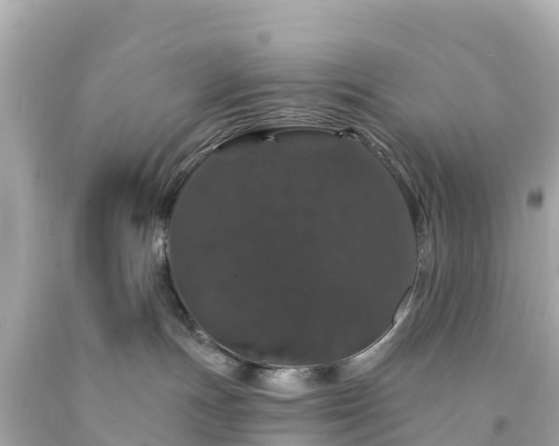 X0000094190191200711021037