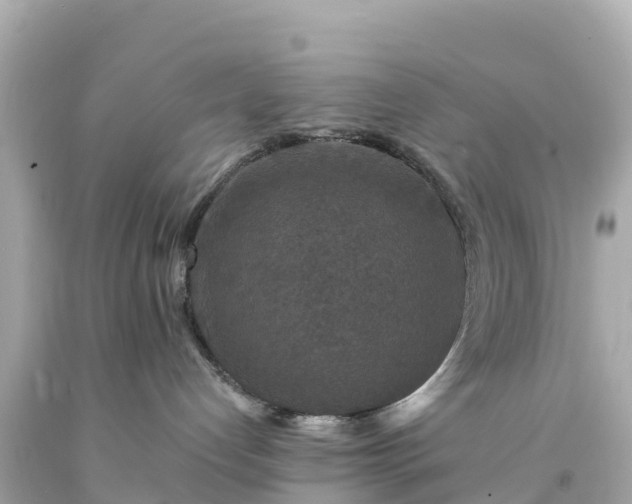 X0000094190192200711021037