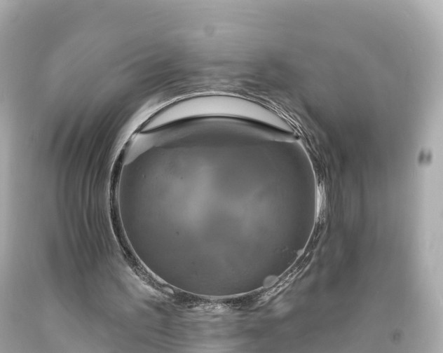 X0000094190195200711021036