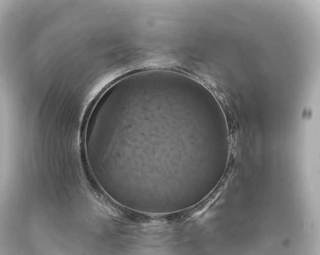 X0000094190196200711021036