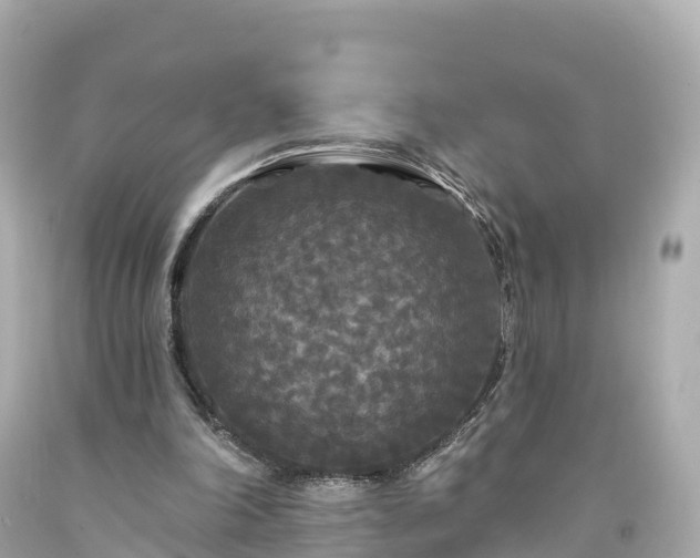 X0000094190198200711021036