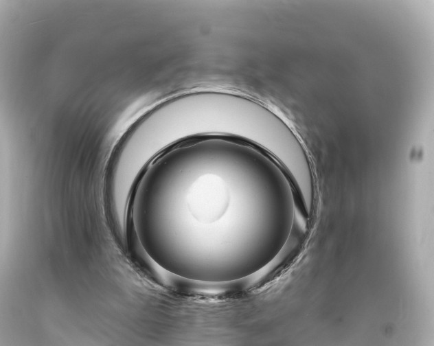 X0000094190199200711021036