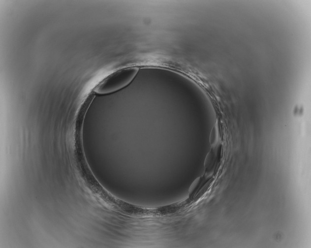 X0000094190200200711021036