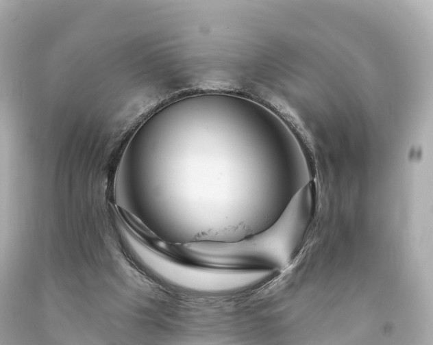 X0000094190201200711021036