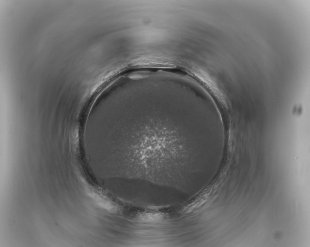 X0000094190202200711021036