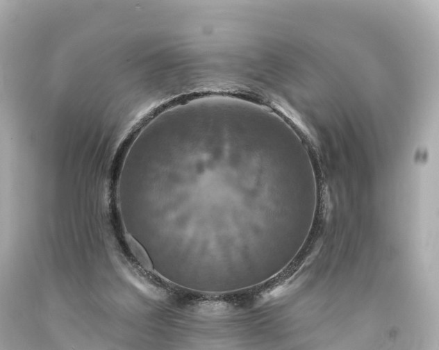 X0000094190203200711021036