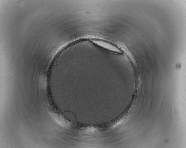 X0000094190204200711021036