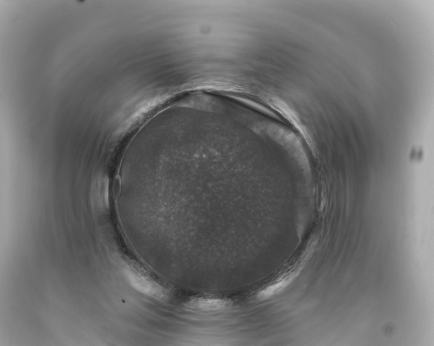 X0000094190205200711021036