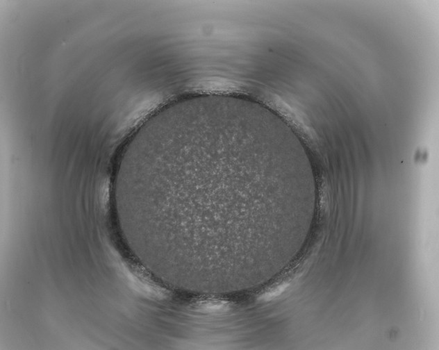 X0000094190206200711021036